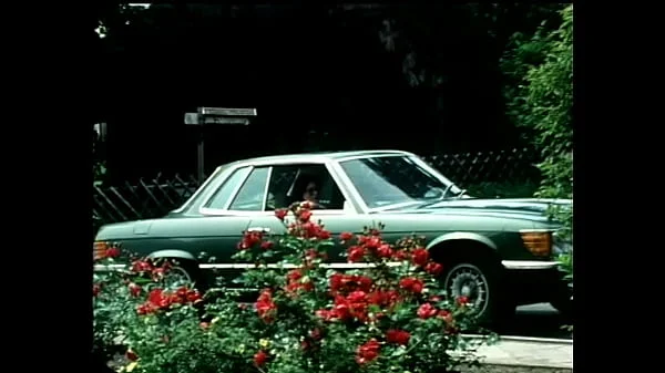 Worksex (1979) videos