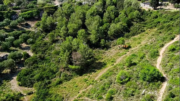 Look what my drone just caught!!! videos