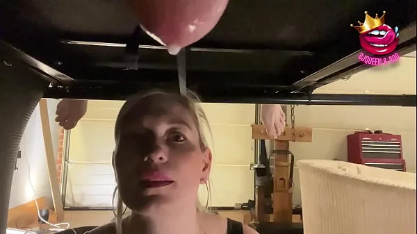 Close up ruined multiple times into a glass on milking table videos