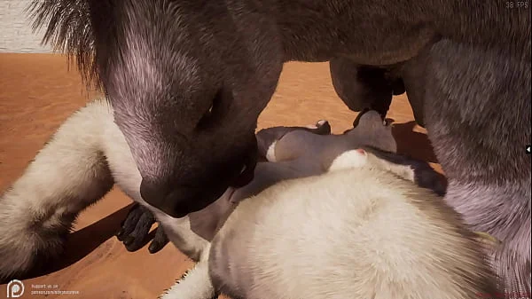 Wild Life Furry Hentai videos