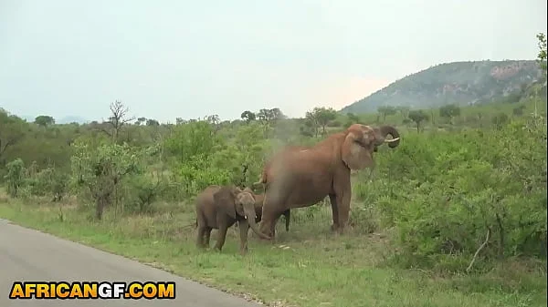 AfricanGF - Romantic Happy Holiday Dick Sucking On Tape Gonzo POV videos