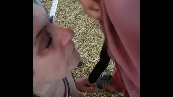 Esclave F souillée et humiliée dans un poulailler 30 octobre 2023 videos