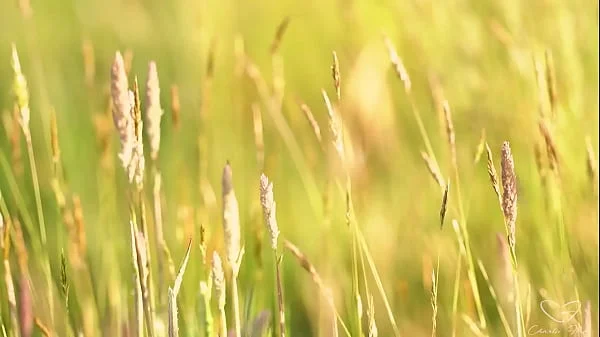 Charlie Ford, Mishel Karen And Laney Day Fuck In Threesomes! videos