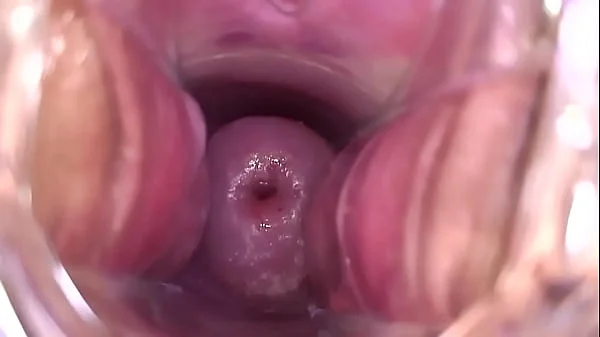 My pussy is very breedable videos