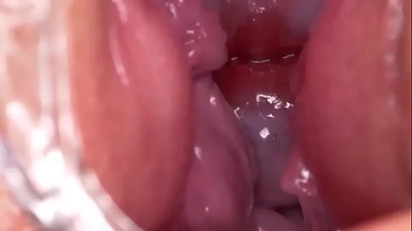 Time for breeding videos