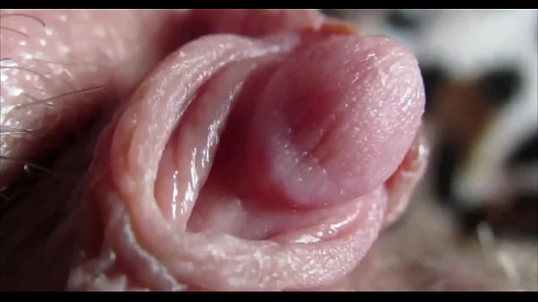 Big clit orgasm closeup hd videos