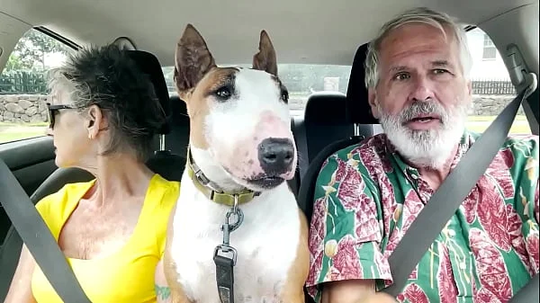 We love road trips -- which are difficult on Oahu, only 125 miles in circumference. In this video, we drive from the Wind ... videos