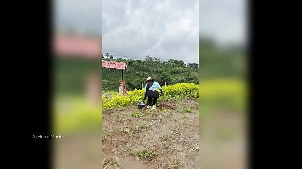 I PAID A YOUNG COLOMBIAN FARM WOMAN TO MILK MY COCK videos