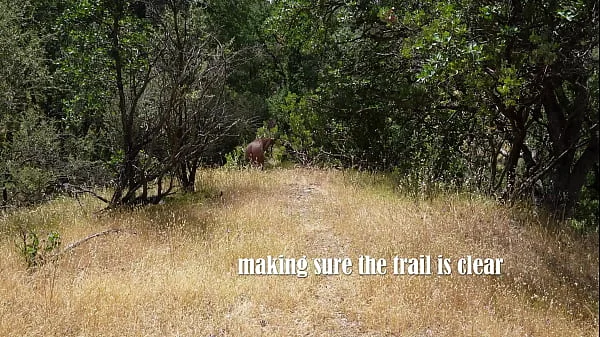 Nudists Fuck Outdoors While Hiking and Nudist Resort videos