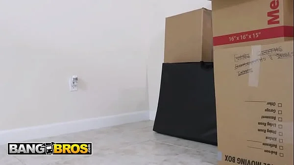 BANGBROS - Sultry Realtor Rose Monroe Rides A Giant Dildo, Then Pleases Her Client’s Hard Cock videos