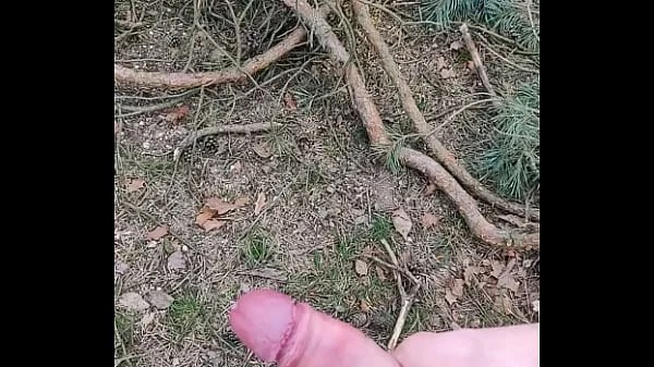 jerking off in forest videos