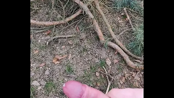 jerking off in forest videos
