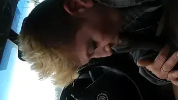 Swallow black nut videos