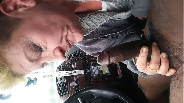 Swallow black nut videos