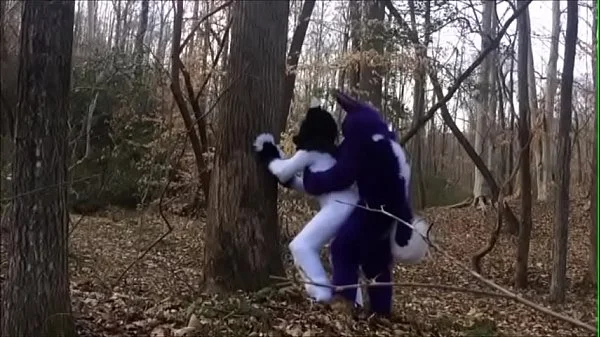 Fursuit Couple Mating in Woods videos