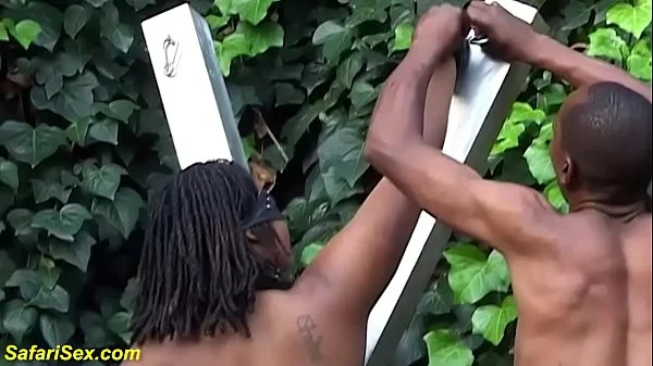 extreme bbw african outdoor bdsm lesson videos
