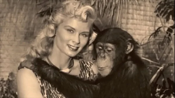 Vintage Taboo, Pussy & Pooch videos