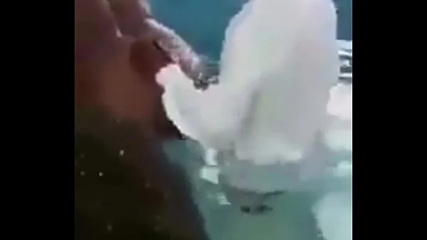 Pastor suck and fuck in a pool videos