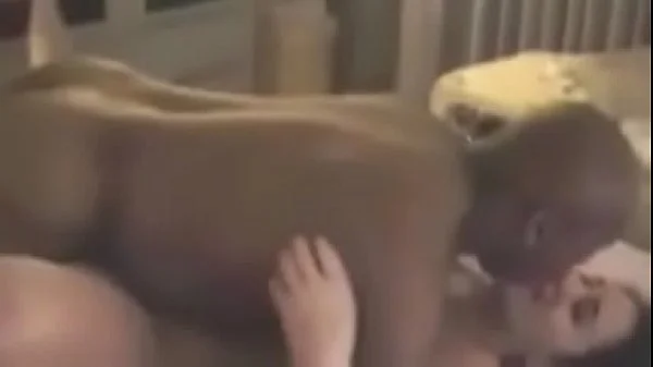 Breeding comp videos