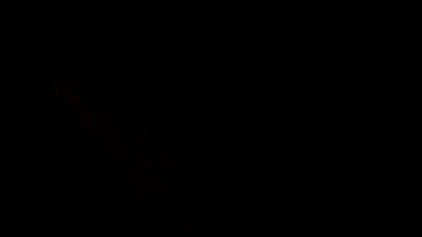 Selin fucked hard videos