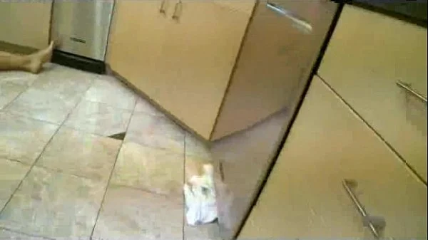 Whip Cream with Kody Kay videos