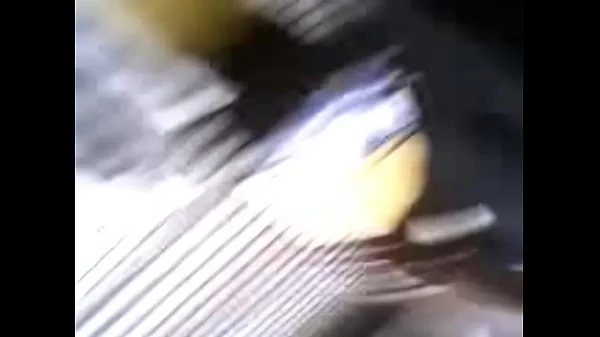 espiando bajo faldas videos