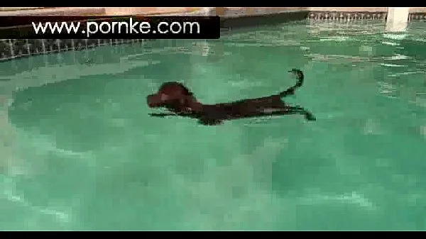 Nothing like a warm up photoshoot before getting your cock in a pornstar's ass... videos