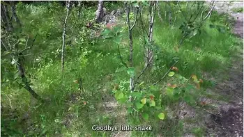 Luna Okko In Chill Day In Canada - Lunas Journey ( ) videos