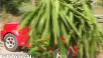 Swinger Night With A Blonde And A Brunette videos