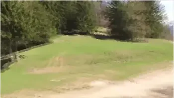 Vlog #2 // Meet My Van! With Mini Dress videos