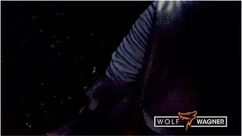 Bbw Sits On My Dick!! Public Blowjob And Table Fuck: Ashley Cumstar videos