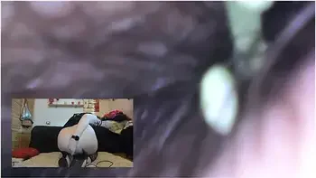 Dominated Shrunken Smells All My Farts - Hardcore Giantess Vore Video videos