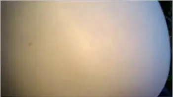 She Loves Public Doggy And Cum Swallowing videos