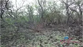 Alexia Anders On Vacation Sucking Cock In The Car And Taking A Piss In Public Pov videos