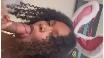 Fuckin Like Rabbits! videos