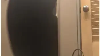 Watch Me Finger My Pussy In Mall! Salesperson Catches Me!!! videos