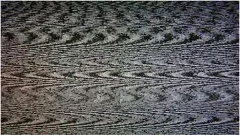 Lacey Lala In Pledge Wants Your Help (and Cock) [trailer] videos