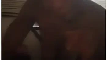 Ebony Sucks Bbc Pt9 videos