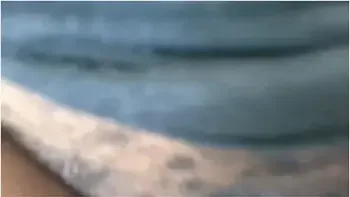 I Am Learning Some New Things Today Lol videos