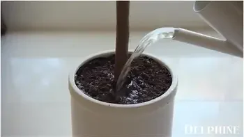 Animals- Horny Teacher Alina Ali Cheats On Her Husband With Her Student 18+ videos