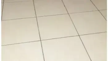 My Toy Is Called Nasty Bitch videos