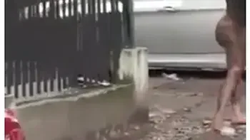 Cocaine Is A Hell Of A Drug videos