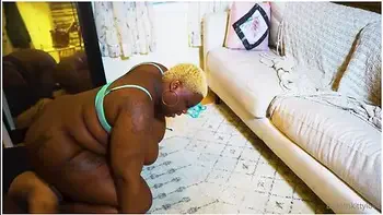 Beast N Kitty With Marley videos