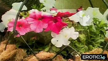 Cailey Taylor Fingered and Fucked Hard by Austin O'Riley - Big Tits MILF Teased to Orgasm videos