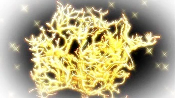 Succubus Connect #4 videos