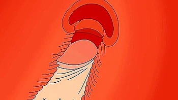 Ken Takakura Okarun Fucks Momo Ayase & Seiko Ayase Dan Da Dan Threesome Hentai Video Meltpuff With Car Toon And Anime Hentai videos