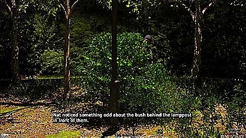 A Couple Duet Love And Lust 10 We Fucked In The Park And Someone Saw Us videos