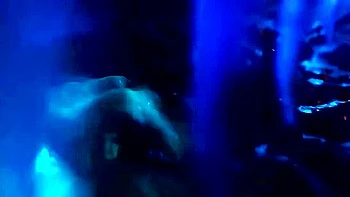 Kleinvoimond Collection videos