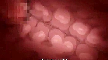 The big-breasted Step mother-in-law hypnotizes her Step daughters and thrusts them into her one after another and cums inside her. videos