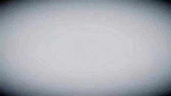 Snake Annoad & Petruz Sex videos